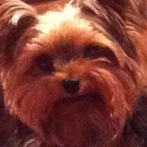 Meet your Posher, Linda